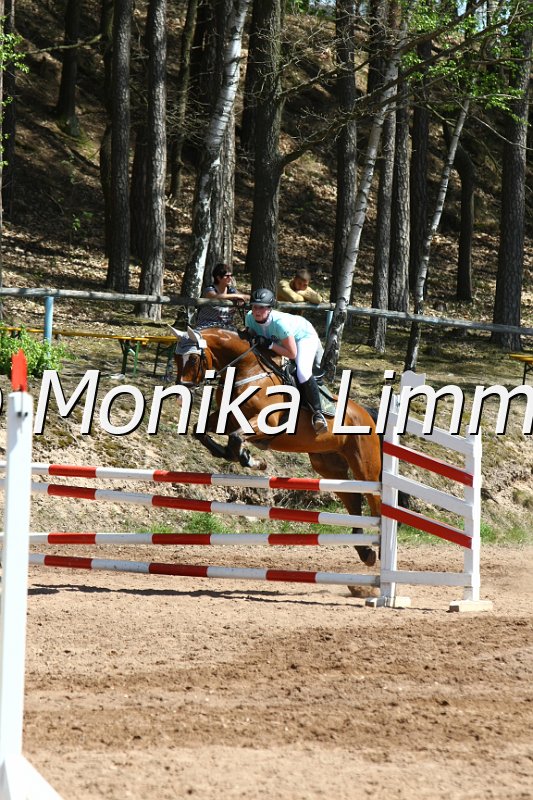 204M8325_Al Gambero_Spring_Axx.JPG